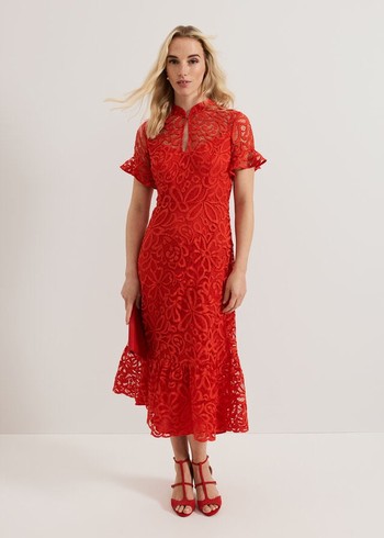 Phase Eight Lula Lace Dress Red Canada | NODGEP-574